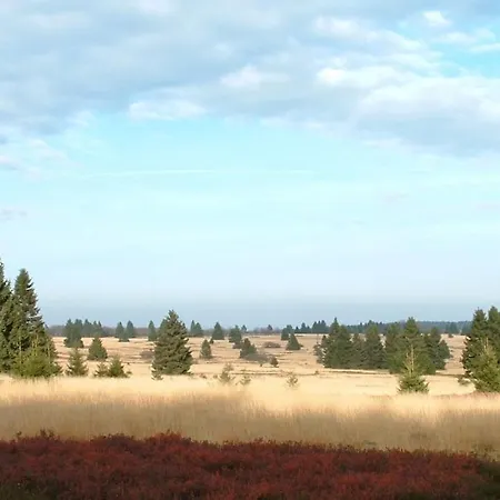 Luxury - Francofolies